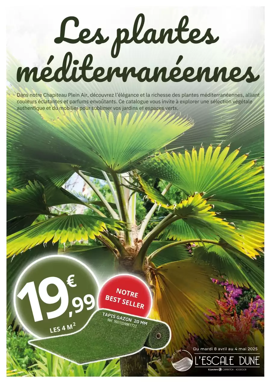 Catalogue des offres de E.Leclerc du 07/04/2025 au 03/05/2025 - plantes méditerranéennes